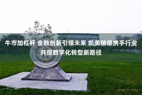 牛市加杠杆 金融创新引领未来 凯美瑞德携手行业共探数字化转型新路径