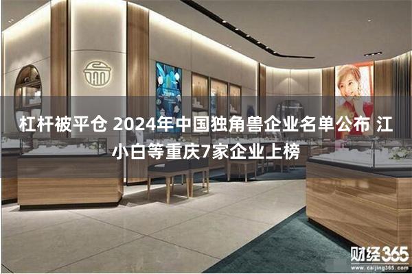 杠杆被平仓 2024年中国独角兽企业名单公布 江小白等重庆7家企业上榜