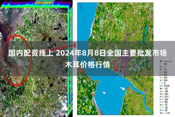 国内配资线上 2024年8月8日全国主要批发市场木耳价格行情