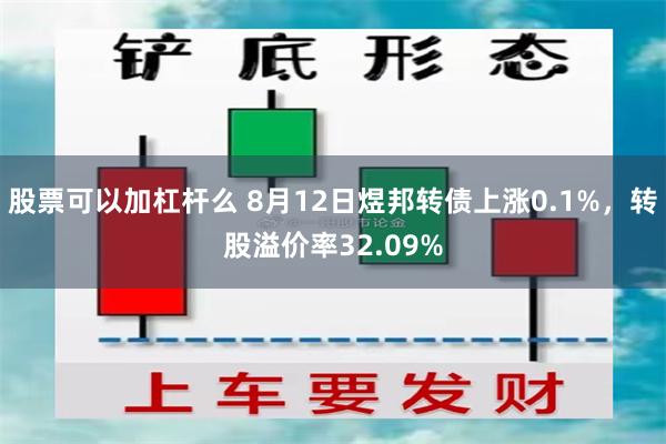 股票可以加杠杆么 8月12日煜邦转债上涨0.1%，转股溢价率32.09%