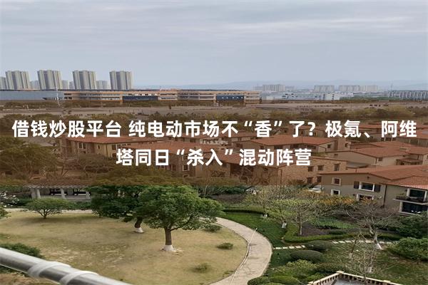 借钱炒股平台 纯电动市场不“香”了？极氪、阿维塔同日“杀入”混动阵营