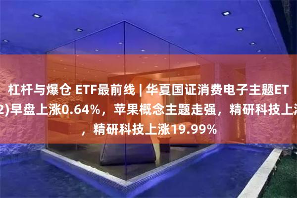 杠杆与爆仓 ETF最前线 | 华夏国证消费电子主题ETF(159732)早盘上涨0.64%，苹果概念主题走强，精研科技上涨19.99%