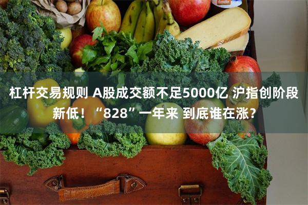 杠杆交易规则 A股成交额不足5000亿 沪指创阶段新低！“828”一年来 到底谁在涨？