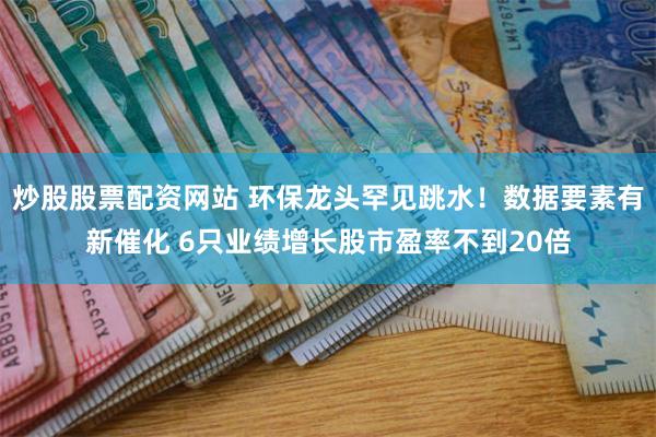 炒股股票配资网站 环保龙头罕见跳水！数据要素有新催化 6只业绩增长股市盈率不到20倍