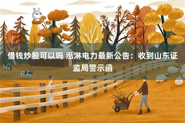 借钱炒股可以吗 泓淋电力最新公告：收到山东证监局警示函