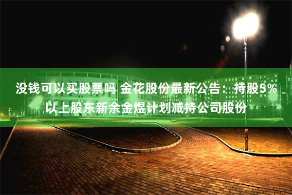 没钱可以买股票吗 金花股份最新公告：持股5%以上股东新余金煜计划减持公司股份