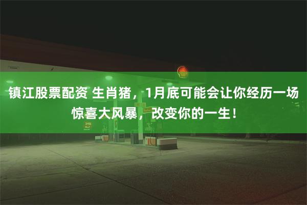 镇江股票配资 生肖猪，1月底可能会让你经历一场惊喜大风暴，改变你的一生！