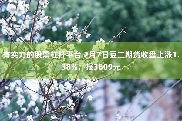 有实力的股票杠杆平台 2月7日豆二期货收盘上涨1.38%，报3609元