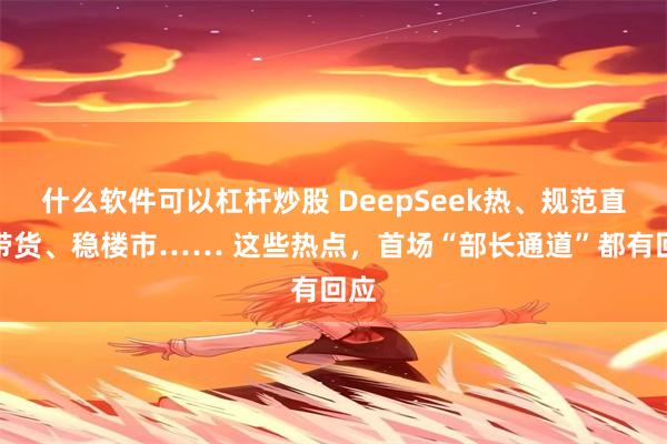 什么软件可以杠杆炒股 DeepSeek热、规范直播带货、稳楼市…… 这些热点，首场“部长通道”都有回应